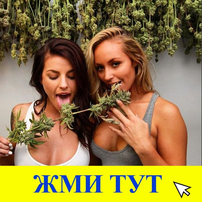 Купить наркотики в Далматово